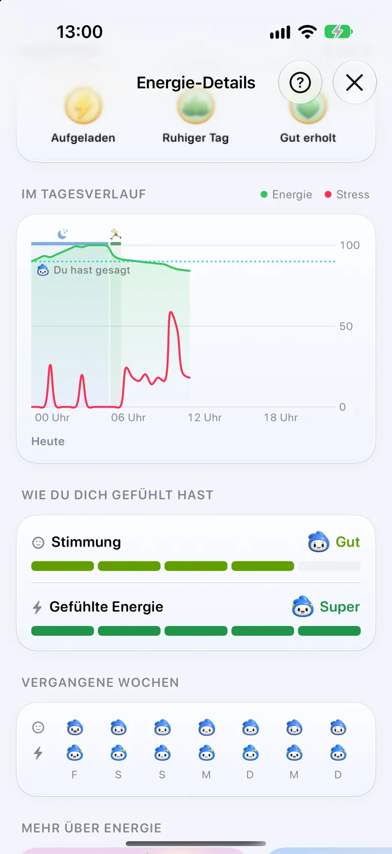 Energiedetails mit Tagesverlauf und Befinden